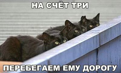Мем. Три чёрных кота
