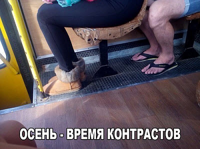 Пассажиры в автобусе