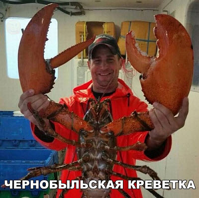 Огромный рак