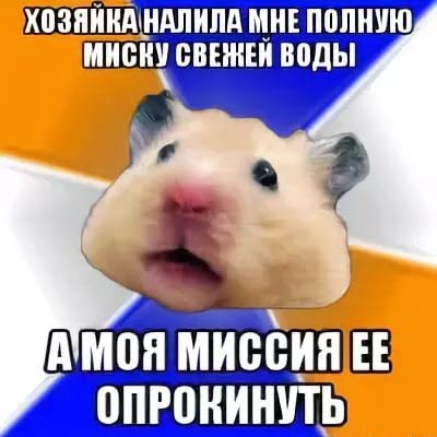 Вредный хомяк