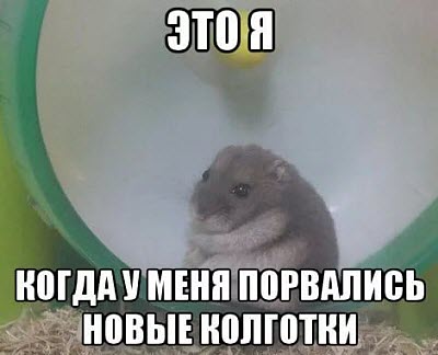 Мем. Недовольный хомяк