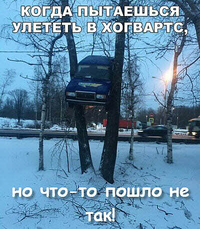 Мем. Автомобиль на деревьях!