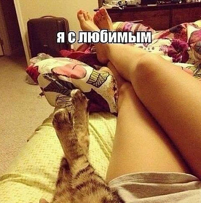 Мем. Девушка с котом!