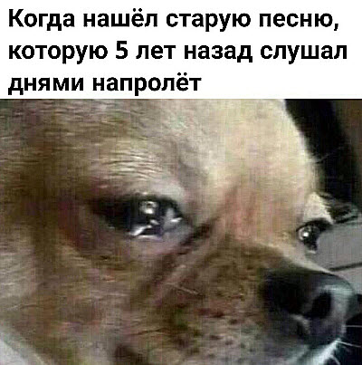 Собачьи слёзы!