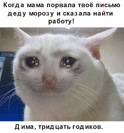 Плачущий кот