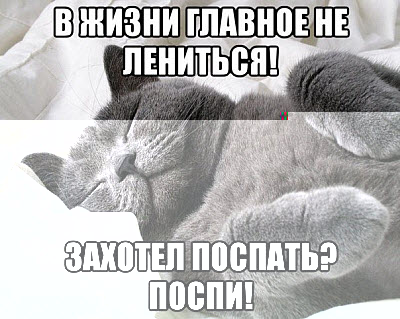 Кот спит на спине!