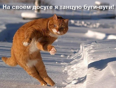 Кот танцует буги-вуги!