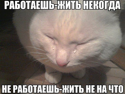 Плачущий кот