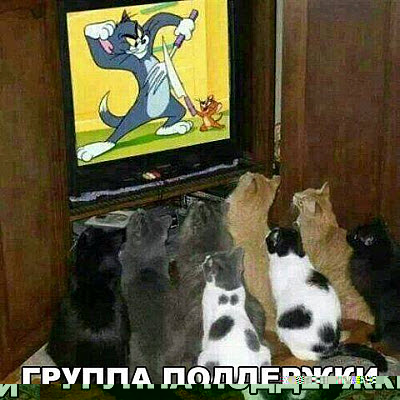 Коты смотрят мультфильм
