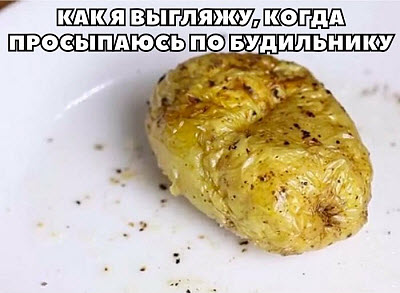 Картофелина на тарелке