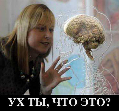 Мем. Блондинка разглядывает мозг!