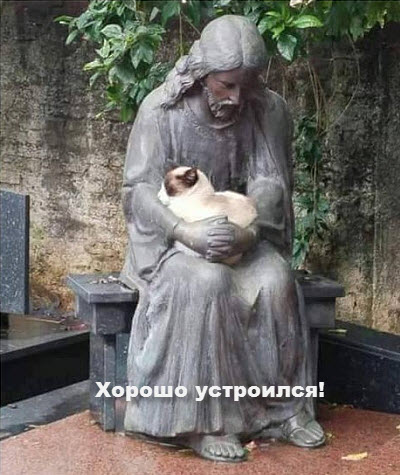 Мем. Кот спит на статуе!