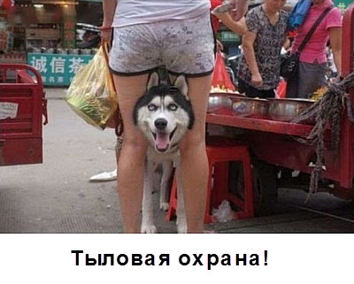 Мем. Девушка с собакой на рынке