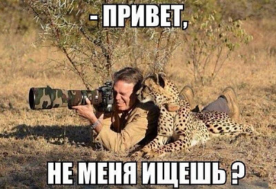 Мем. Фотограф и леопард!