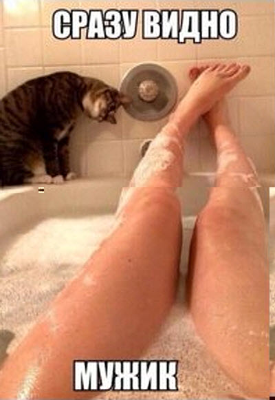 Мем. Кот наблюдает за хозяйкой в ванне!