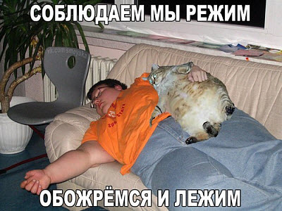 Мем. Хозяин и кот спят на диване!