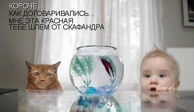 Мем. Малыш и кот у аквариума!