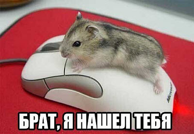 Мем. Хомяк и компьютерная мышь!