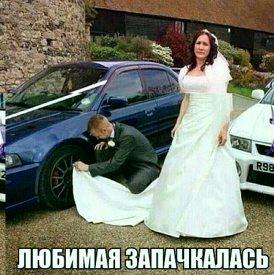 Мем. Жених, невеста и авто!
