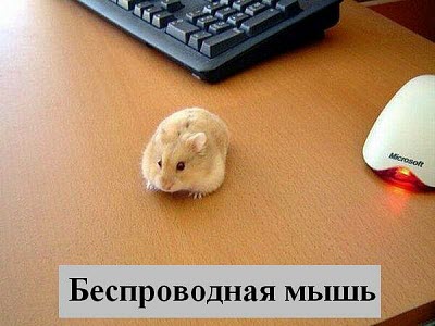 Мем. Хомяк и компьютерная мышь!