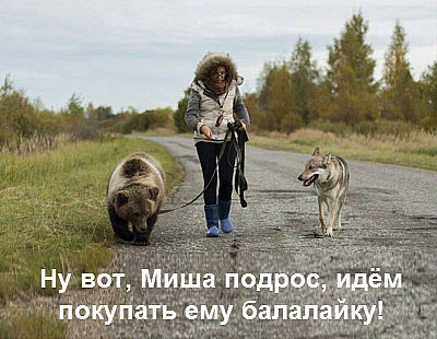 Женщина, собака и медведь!