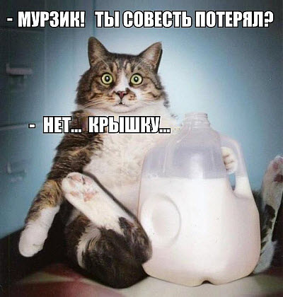 Толстый кот с канистрой молока!