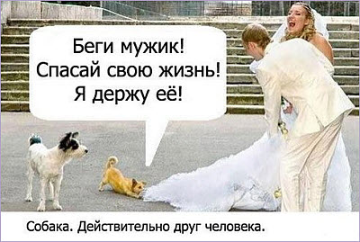 Маленькая собачка спасает мужика от невесты!