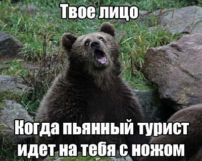Сердитый медведь!