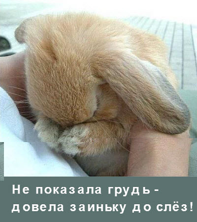 Плачущий кролик!