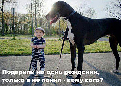 Маленький мальчик с большой собакой!