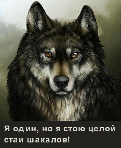 Сильный одинокий волк!