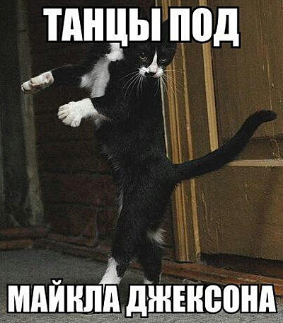 Танцующий кот!