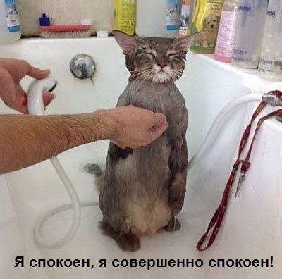 Кот в ванне!