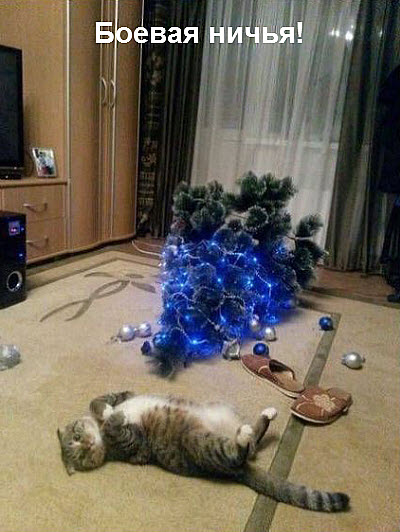 Кот уронил новогоднюю ёлку!