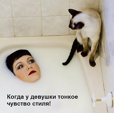 Стильная девушка с котом в ванне