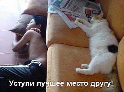 Мальчик уступил место коту на диване, а сам спит на полу