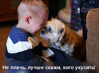 Собачка успокаивает плачущего малыша