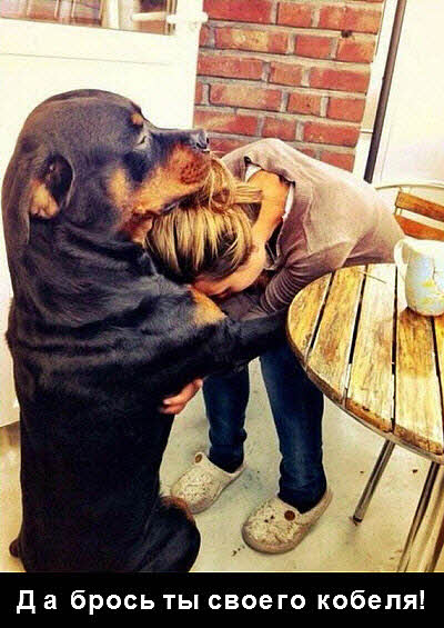 Собака утешает плачущую девушку