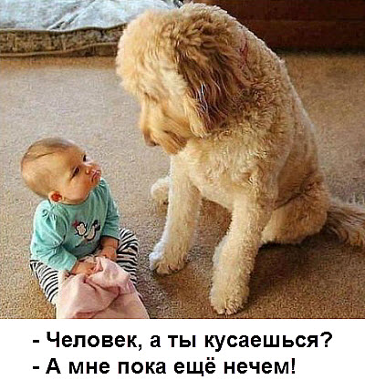 Малыш и собака