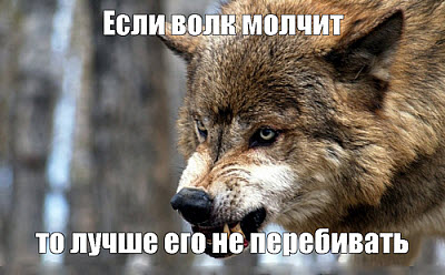 Волк сердится