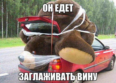 Огромный игрушечный медведь на автомобиле