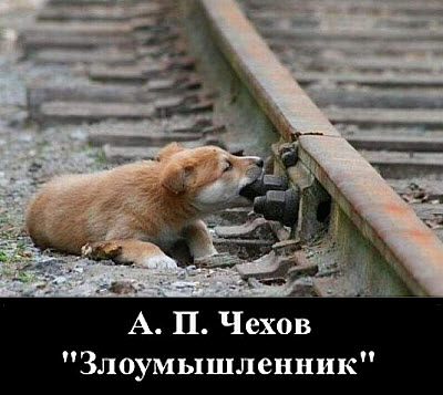 Собака откручивает гайку на железной дороге