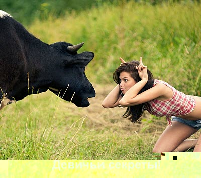 Девушка и корова