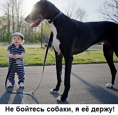 Малыш с большой собакой