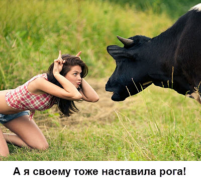 Девушка показывает корове рога