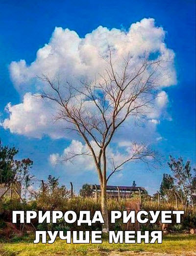 Облака над деревом
